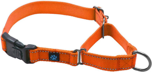 Nylon Martingale Collar - We Donate to a Dog Rescue for Every Collar Sold (Medium, Orange)